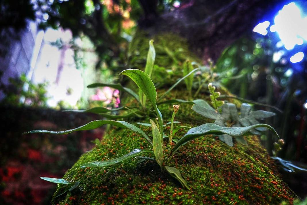 Occaecati voluptatem quasi expedita veniam